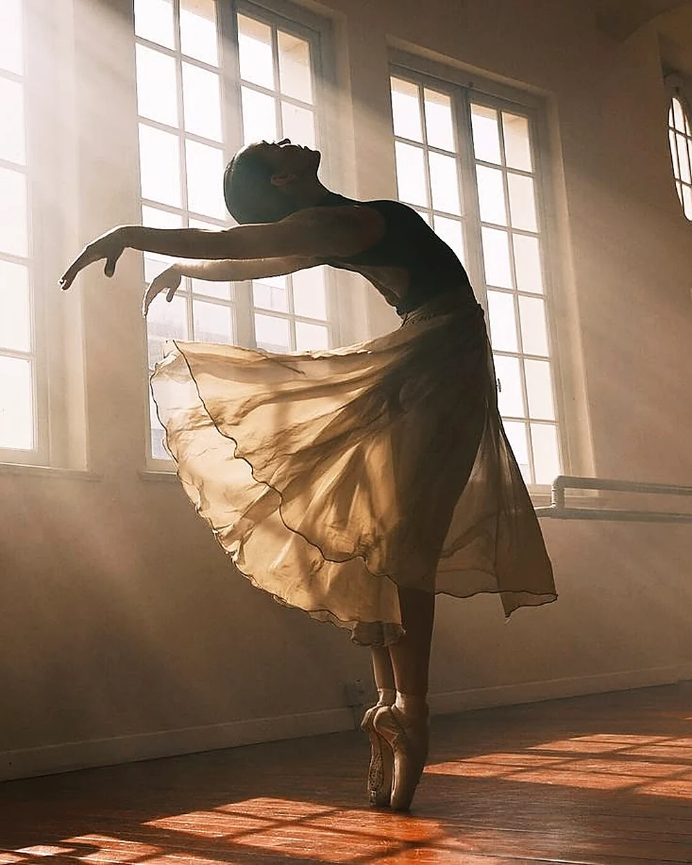 Danza Classica & Punte